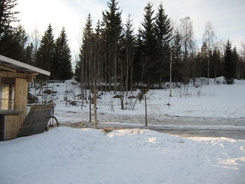 Blog Image